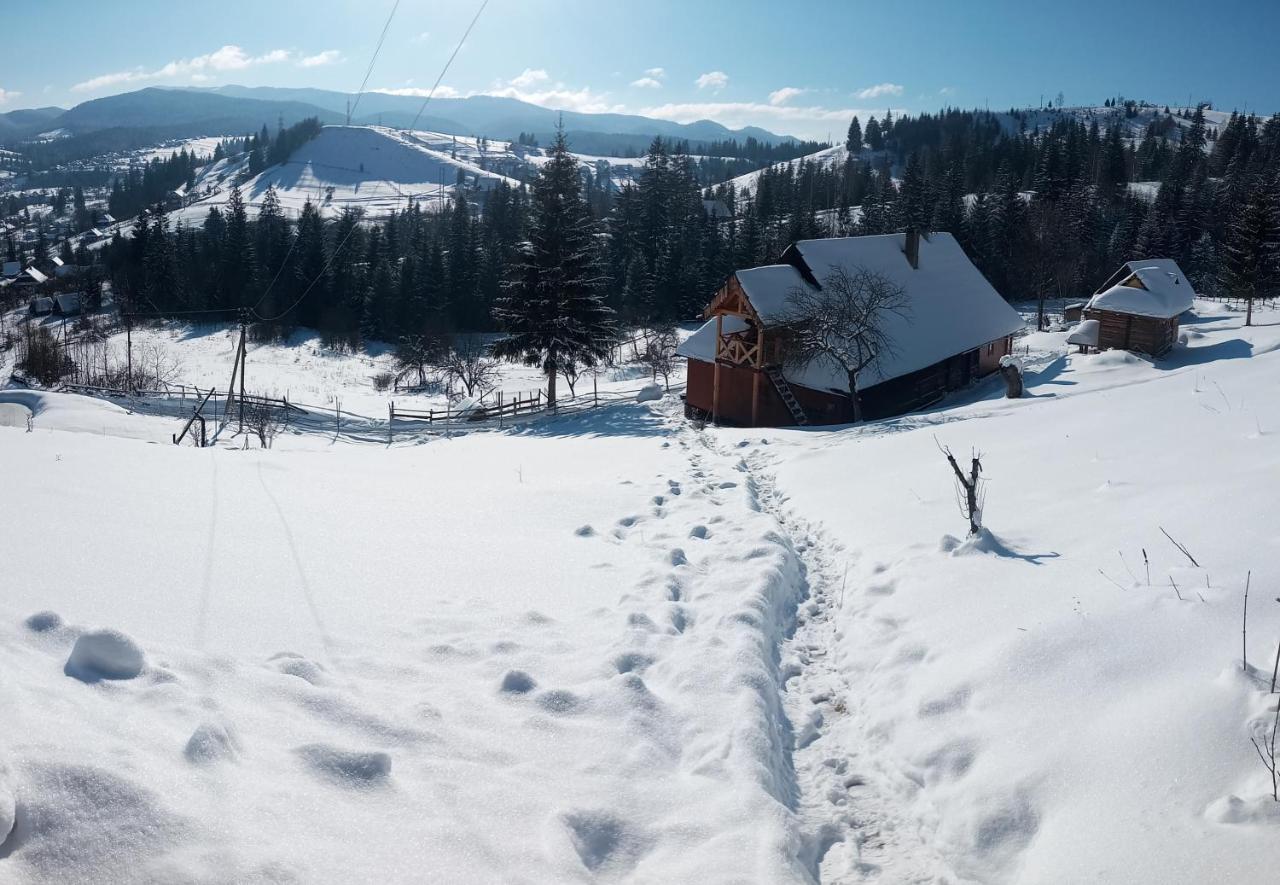 Приватна Садиба "Світлиця Гуцульщини" Vorokhta Exterior foto