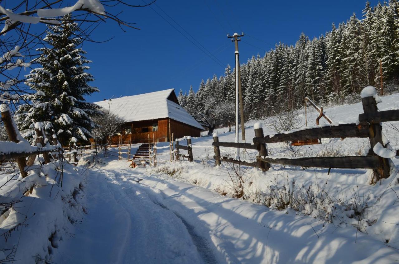 Приватна Садиба "Світлиця Гуцульщини" Vorokhta Exterior foto