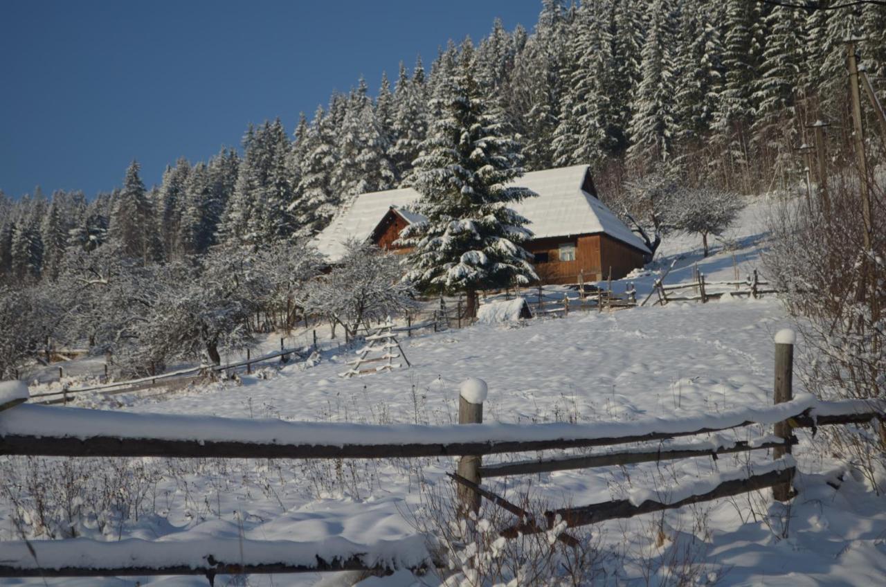 Приватна Садиба "Світлиця Гуцульщини" Vorokhta Exterior foto
